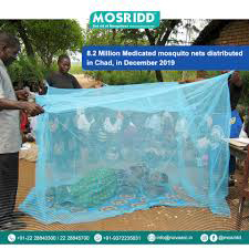 mosquito net green